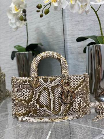 Dior 南非蟒蛇皮 26x6x14cm CN