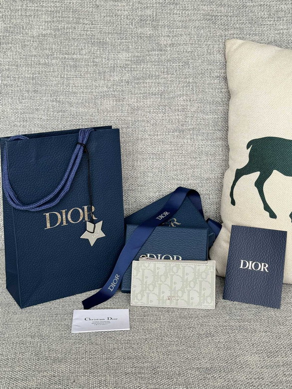Dior 2ESBC250 13.2x7.5cm zy1