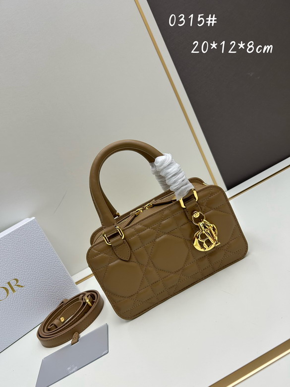 Dior Toujours 0315 20x12x8cm jj1