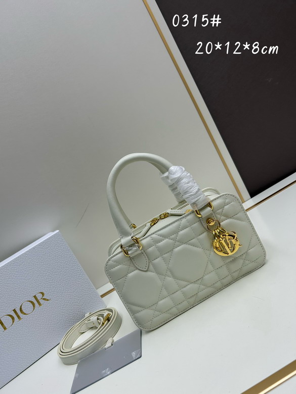 Dior Toujours 0315 20x12x8cm jj3