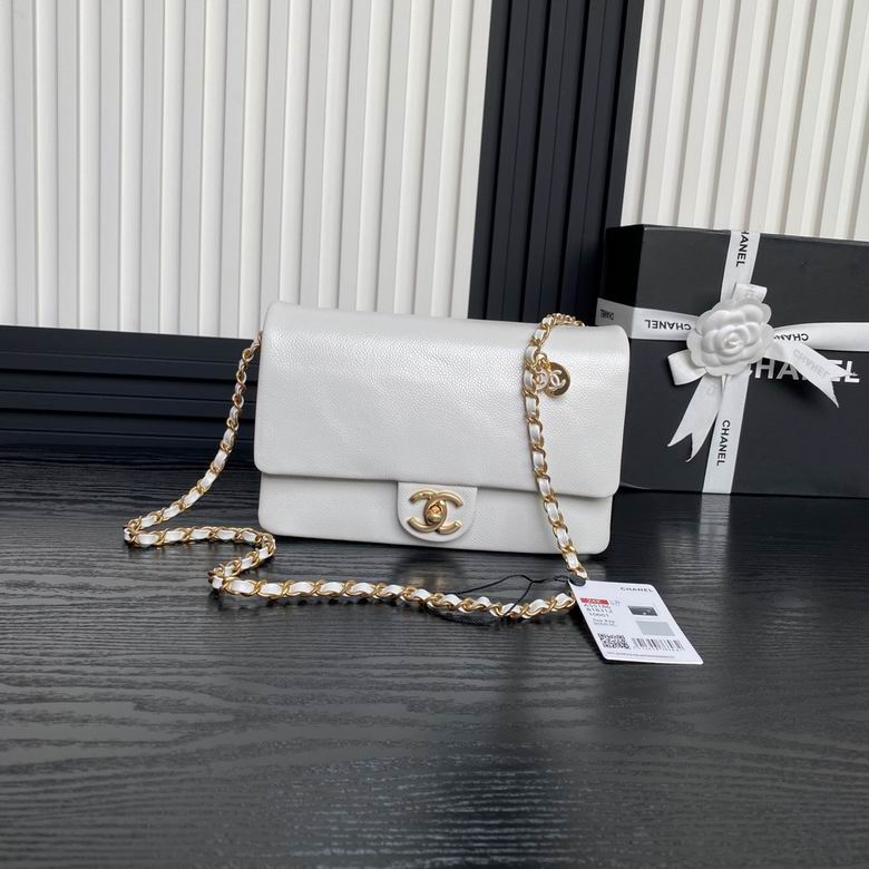 AS5186 15X23X8cm BL