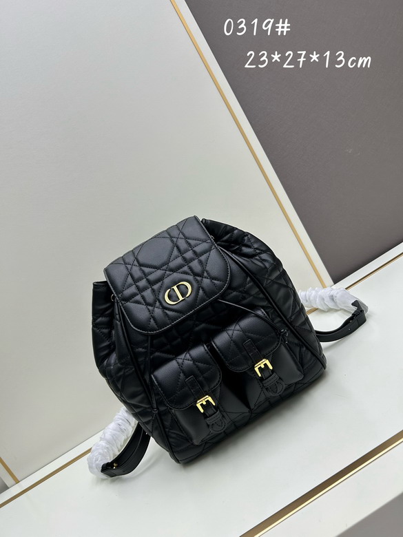 Dior 0319 23x26.7x12.5cm jj