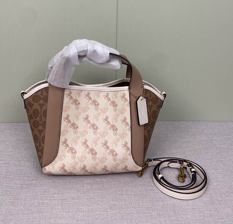 CZ317 23X12X8cm AZ