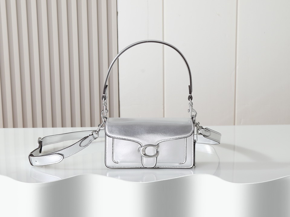 Coach 73995 20x10x6cm ss