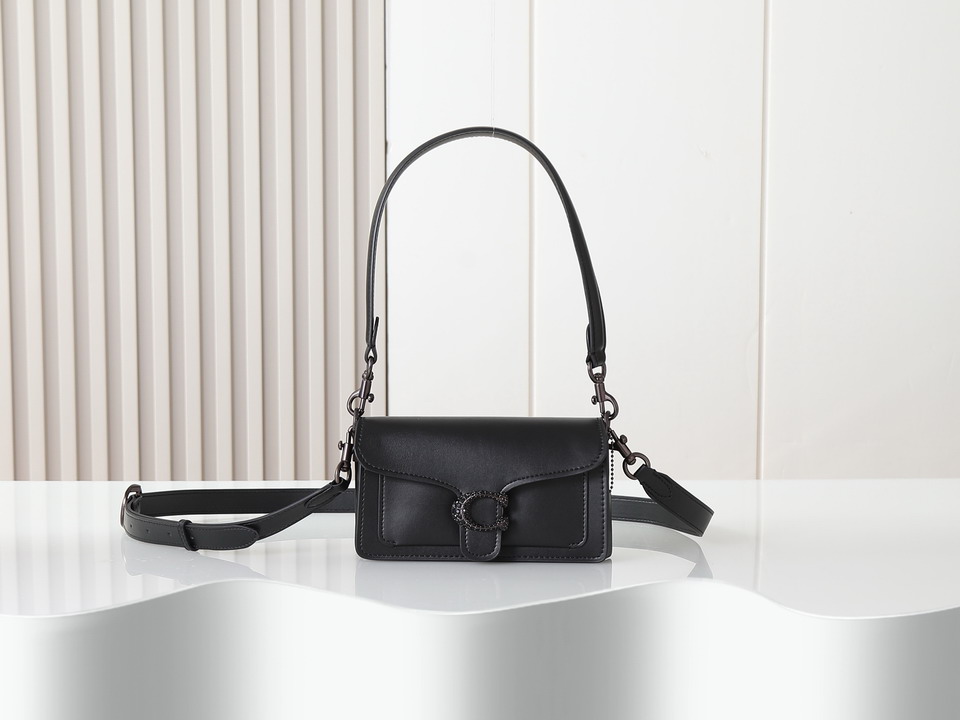 Coach 73995 20x10x6cm ss1
