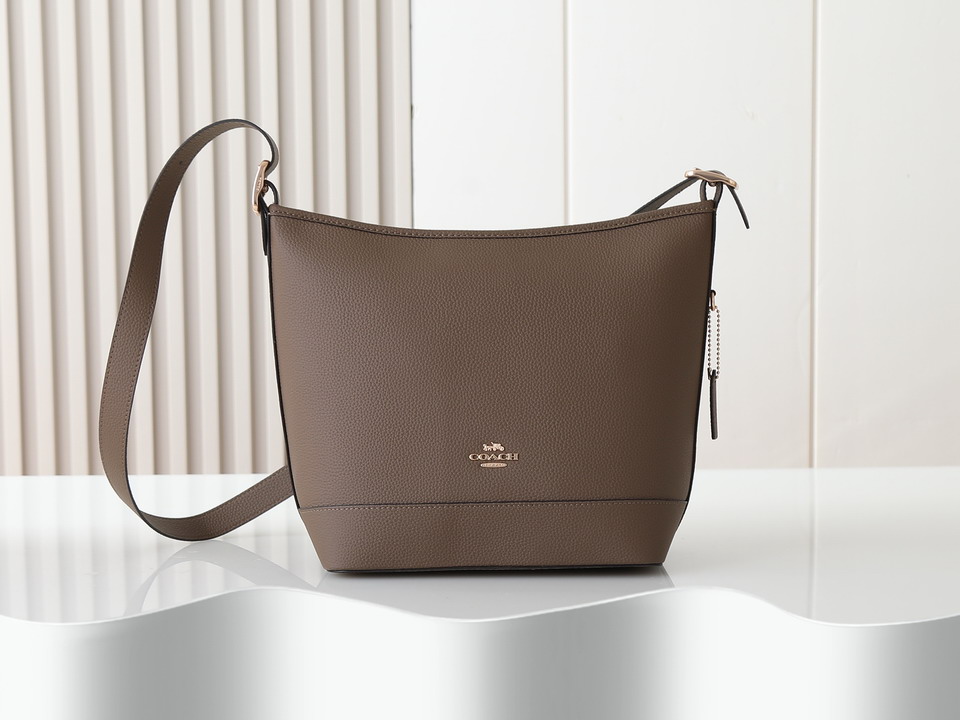 Coach CBH20 24x15x26cm ss4