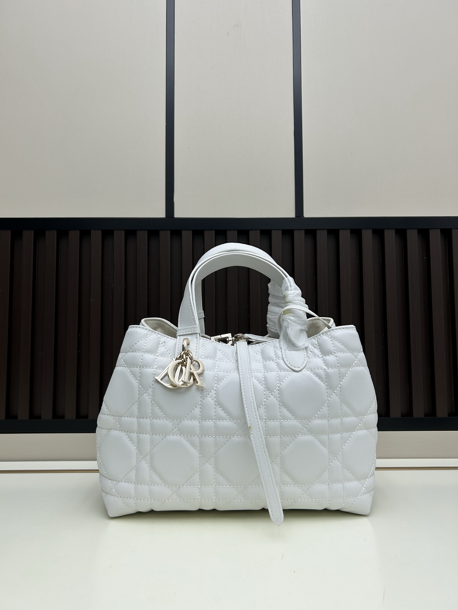 Dior Toujours 2821 28.5x21.5x19cm jj3