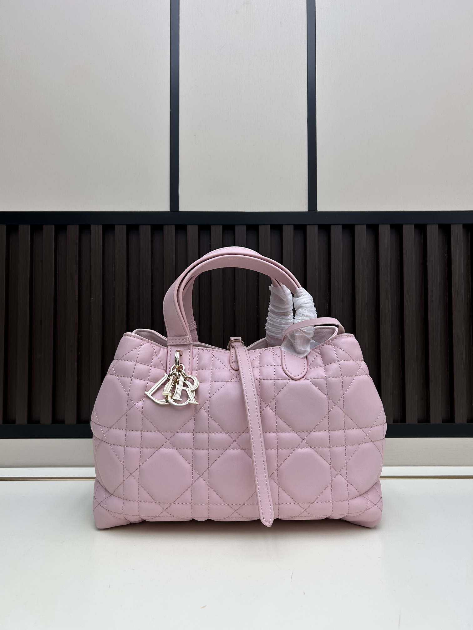 Dior Toujours 2821 28.5x21.5x19cm jj4