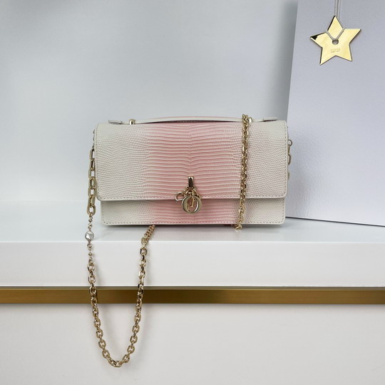 Dior 0980 21x11.5x4.5cm yz6