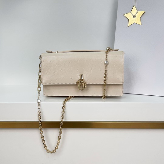Dior 0980 21x11.5x4.5cm yz8-