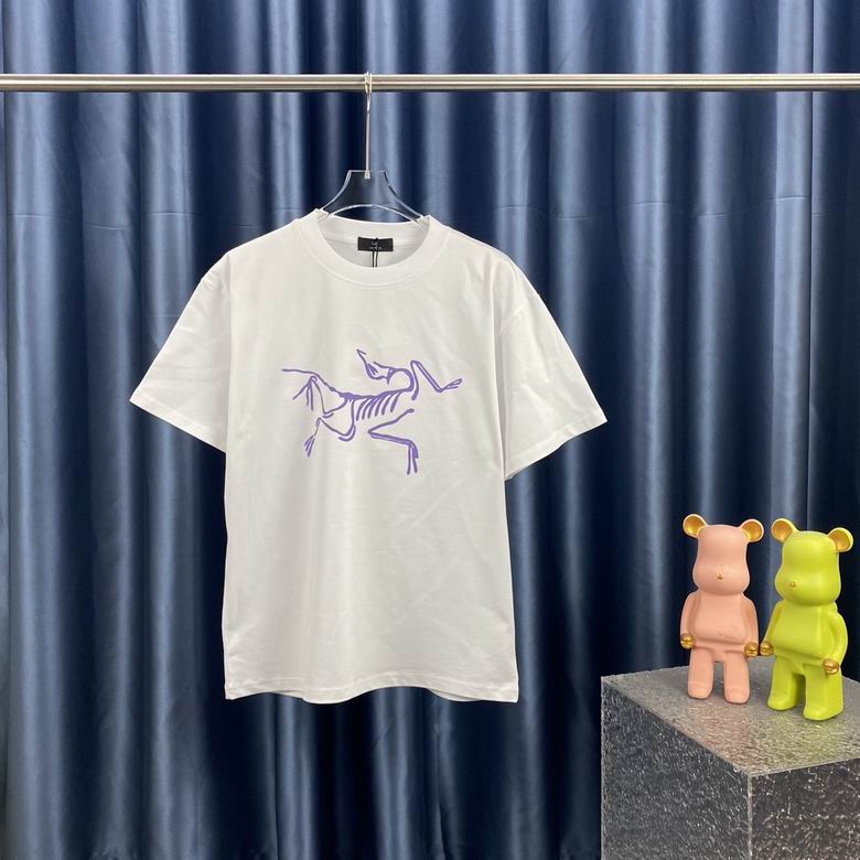 Arcteryx High Edition T Shirt 0615