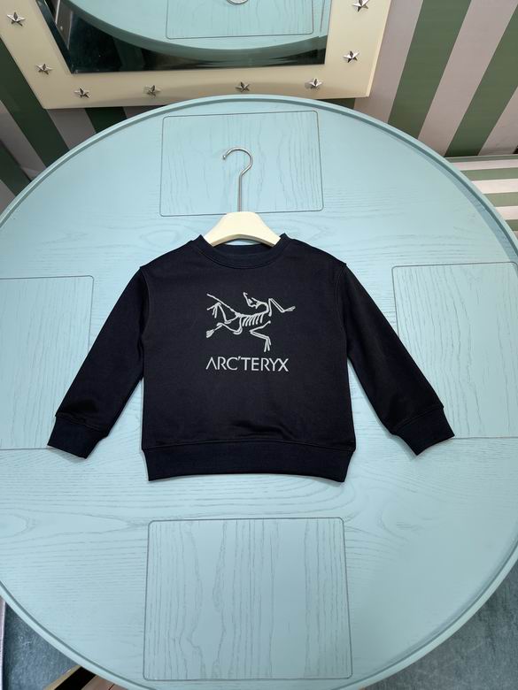 Arcteryx sz100-160 25