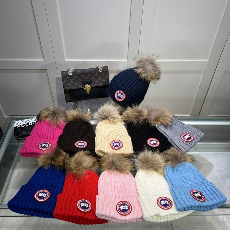 Canada Goose
